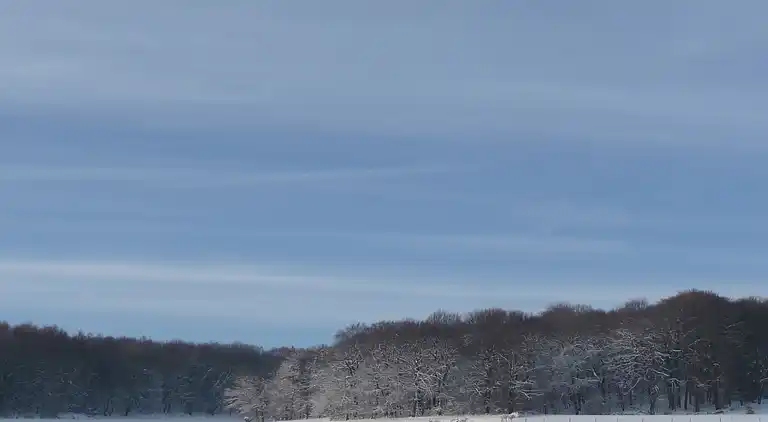 Holiday home in Mechelen