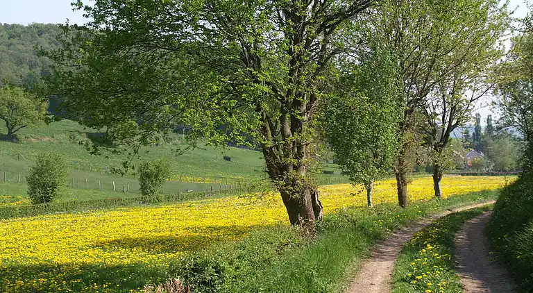 Sommerhus i Mechelen