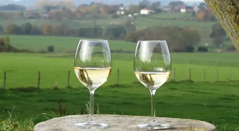 Holiday home in Mechelen