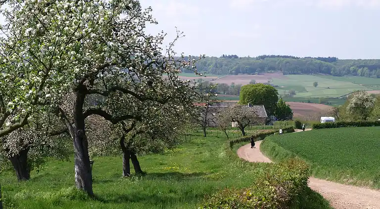 Holiday home in Mechelen