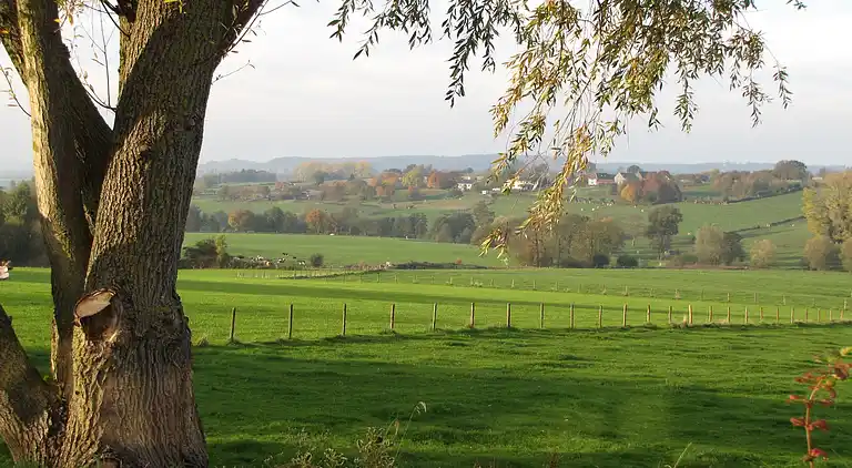 Holiday home in Mechelen