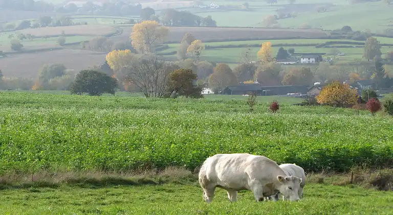 Holiday home in Mechelen