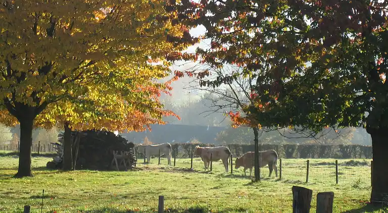 Holiday home in Epen