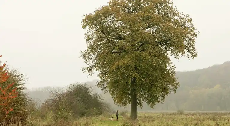 Holiday home in Valkenburg