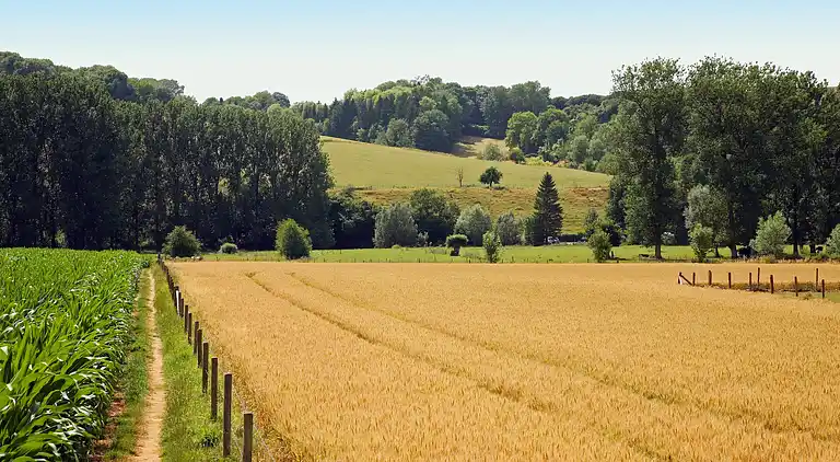 Farm house in Wijlre