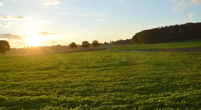 Sommerhus i Simpelveld