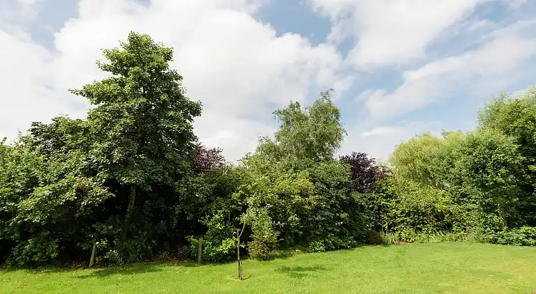 Sommerhus i Schellinkhout