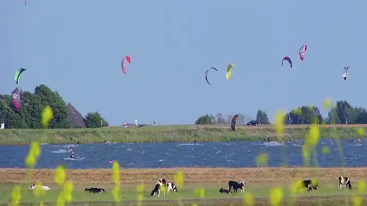 Sommerhus i Schellinkhout