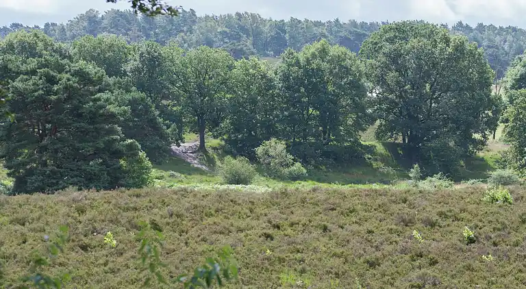 Sommerhus i Brunssum