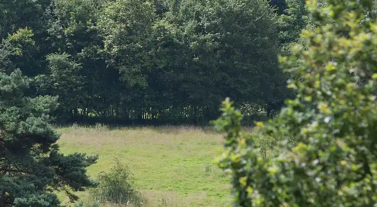 Sommerhus i Brunssum