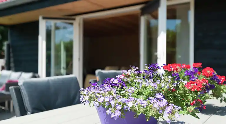 Semesterbostad i Egmond aan den Hoef