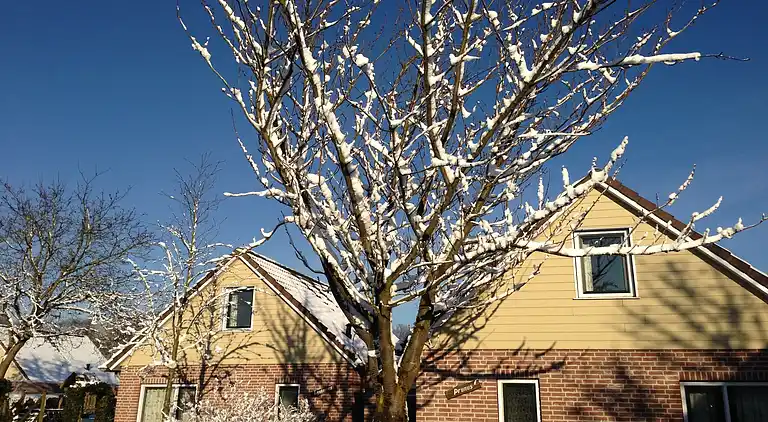 Holiday home in Plasmolen