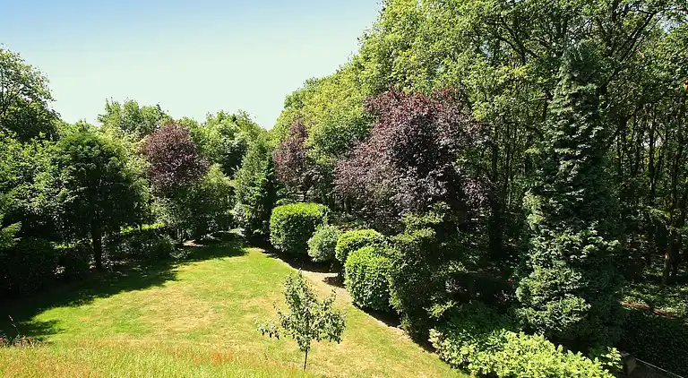 Sommerhus i Bergharen