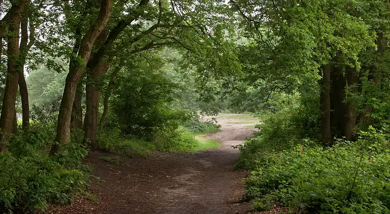 Sommerhus i Bergharen