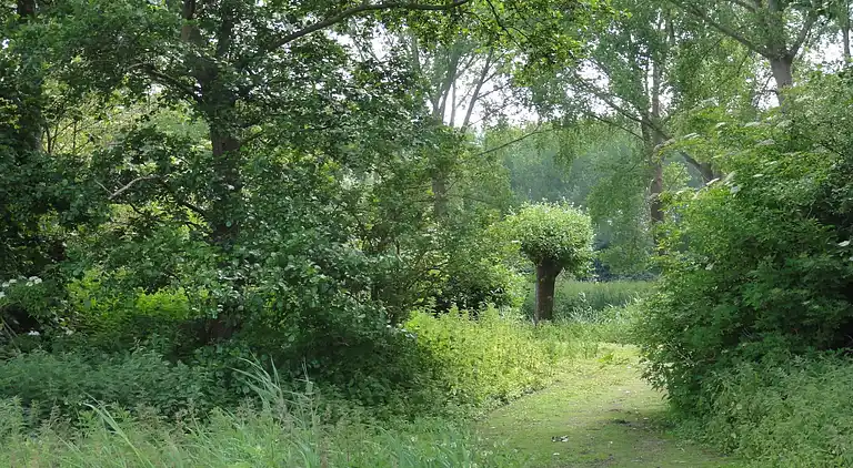 Holiday home in Koewacht