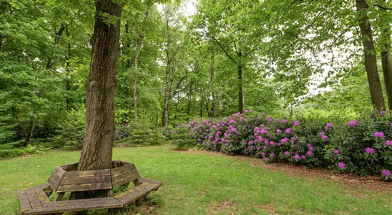 Holiday home in Bennekom