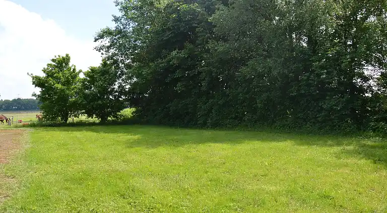 Holiday home in Schoonoord