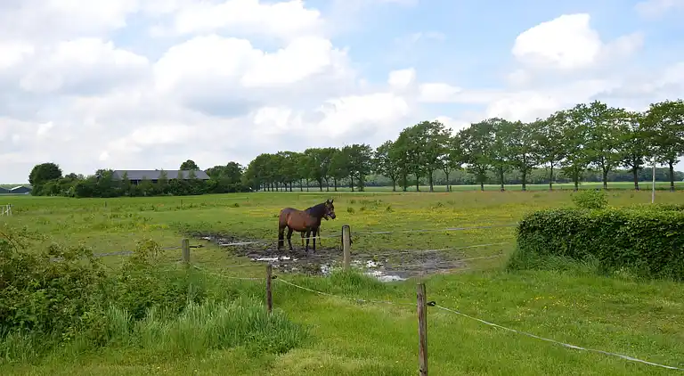 Holiday home in Schoonoord