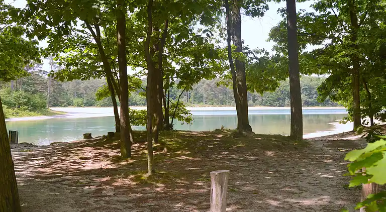 Holiday home in Schoonoord