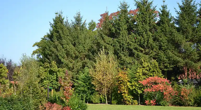 Holiday home in Eerbeek