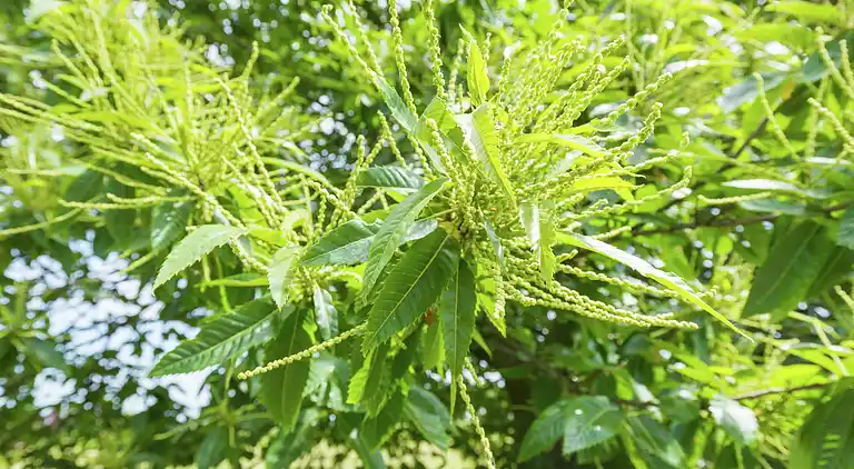 Farm house in Wijnbergen