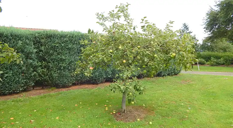 Feriebolig i Silvolde