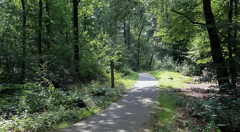Holiday home in Winterswijk