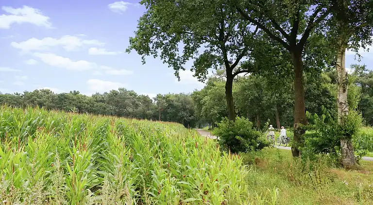 Holiday home in Winterswijk
