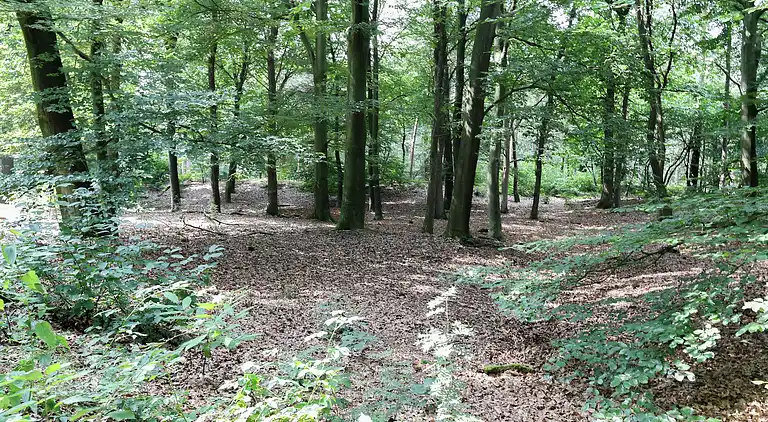 Holiday home in Winterswijk