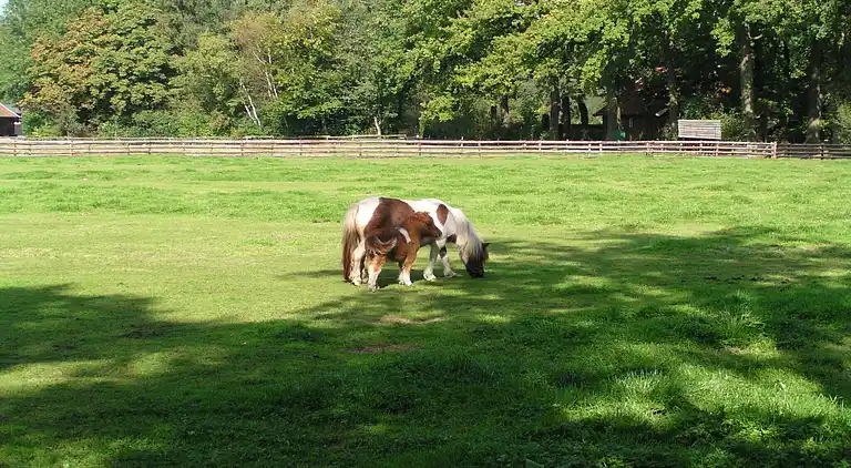 Holiday home in Winterswijk