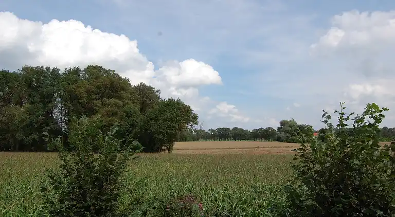 Farm house in Winterswijk Woold