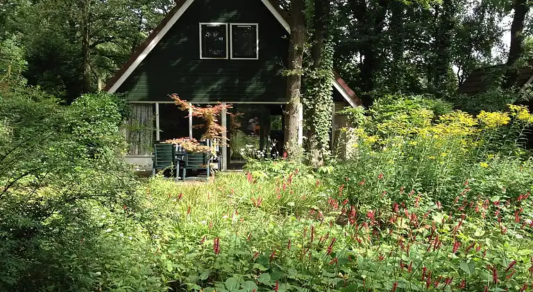 Feriebolig i Winterswijk Henxel