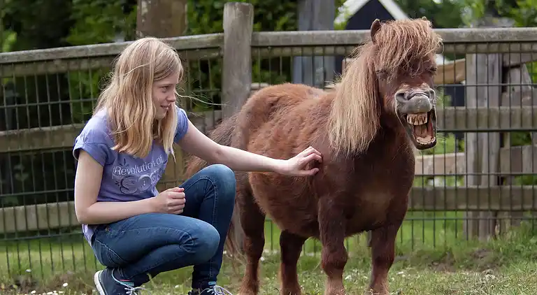 Casa vacanze in Winterswijk Brinkheurne