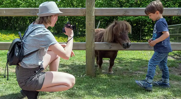 Holiday home in Winterswijk Brinkheurne