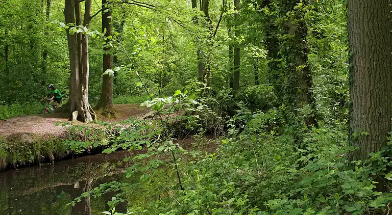 Holiday home in Winterswijk Brinkheurne