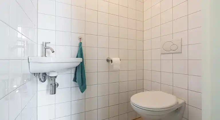 Farm house in Aalten