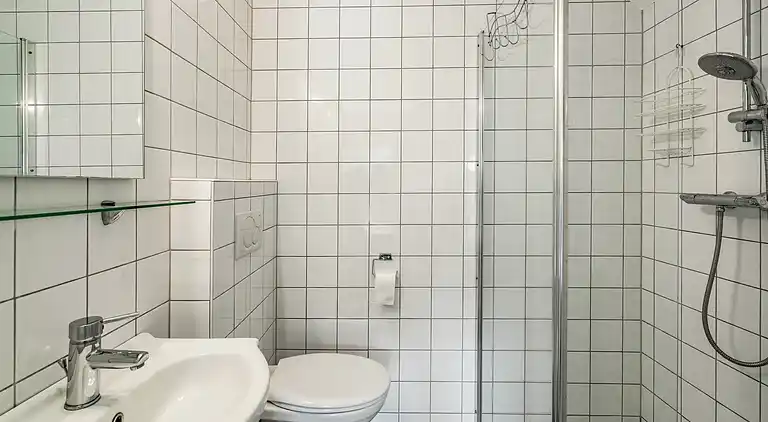 Farm house in Aalten