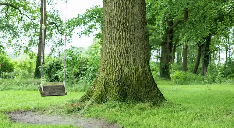 Farm house in Aalten