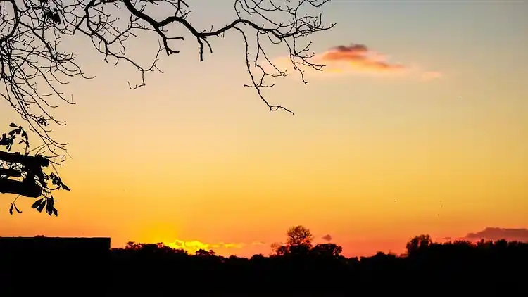Farm house in Aalten