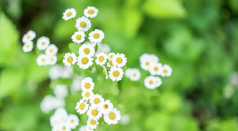 Farm house in Aalten