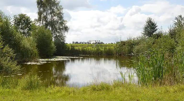 Holiday home in Eibergen