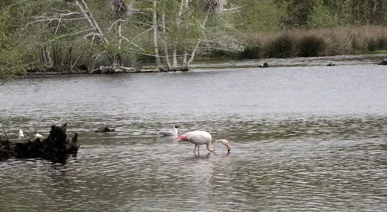 Holiday home in Eibergen
