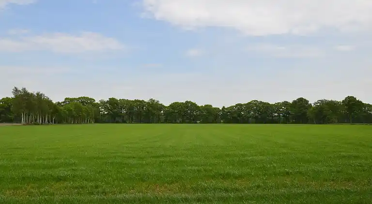 Holiday home in Eibergen