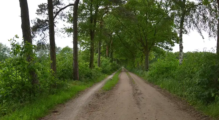 Holiday home in Eibergen