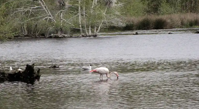 Holiday home in Eibergen