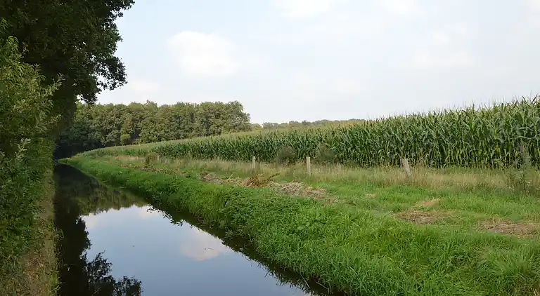 Farm house in Haarlo