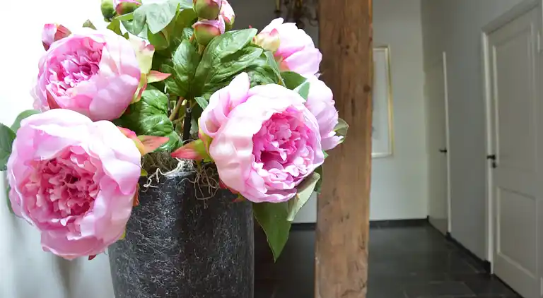 Farm house in Geesteren