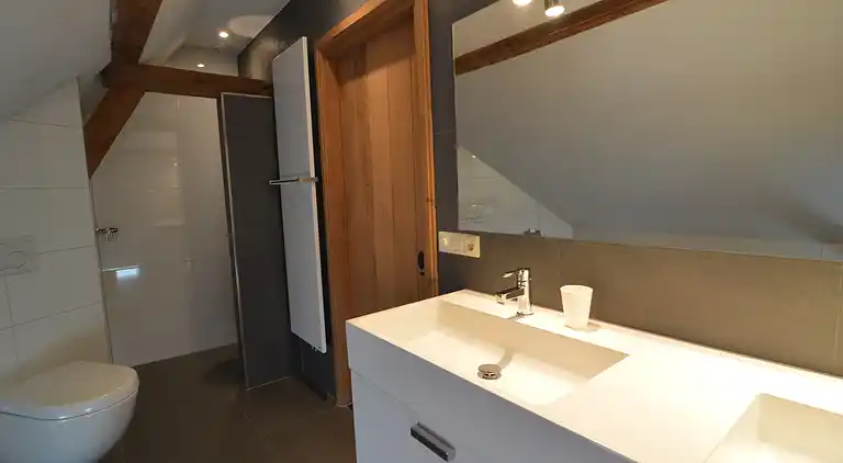 Farm house in Geesteren