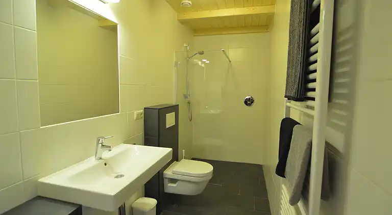 Gårdhus i Geesteren