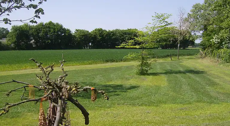 Gårdhus i Geesteren